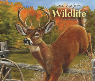 Cover image for 9781529854916 - Victoria Schult Deluxe Wall Sunday Start