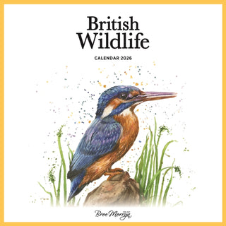 Cover image for 9781529855319 - Bree Merryn Square Wall Calendar 2026