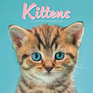 Cover image for 9781529856378 - Kittens Mini