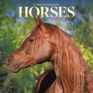 Cover image for 9781529856415 - Horses M