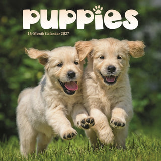 Cover image for 9781529856446 - Puppies Mini