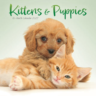 Cover image for 9781529856477 - Kittens & Puppies Mini