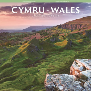 Cover image for 9781529857269 - Wales Wall