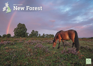 Cover image for 9781529857993 - New Forest A4