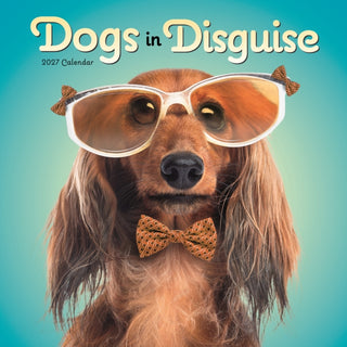 Cover image for 9781529858068 - Dogs in Disguise Wall