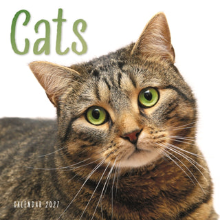 Cover image for 9781529858105 - Cats W / CAROUS
