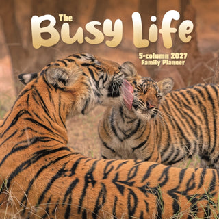 Cover image for 9781529858136 - Busy Life (PFP) Planner Wall