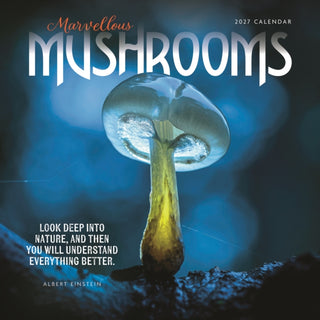 Cover image for 9781529858150 - Marvellous Mushrooms W