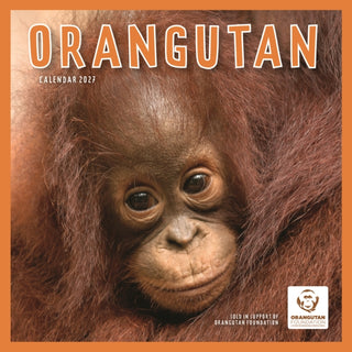 Cover image for 9781529858204 - Orangutan (PFP) W