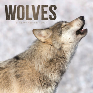 Cover image for 9781529858228 - Wolves W