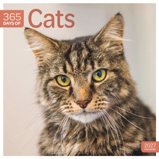 Cover image for 9781529858242 - Cats 365 Days (PFP) W