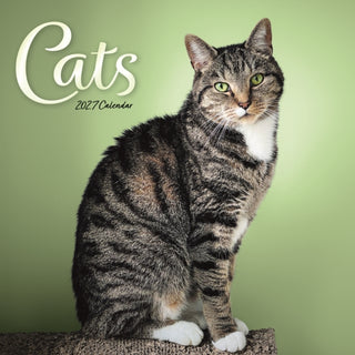 Cover image for 9781529858389 - Cats Wiro Wall
