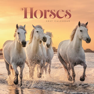 Cover image for 9781529858402 - Horses Wiro Wall