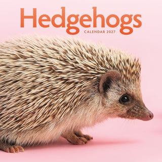 Cover image for 9781529858433 - Hedgehogs (PFP) W