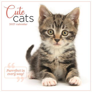 Cover image for 9781529858457 - Cute Cats Wall (PFP)