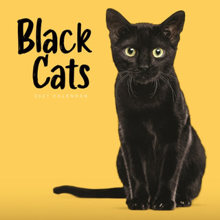 Cover image for 9781529858525 - Black Cats (PFP) W