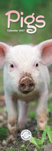Cover image for 9781529858594 - Pigs (PFP)Slim
