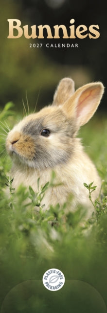 Cover image for 9781529858600 - Bunnies (PFP) Slim