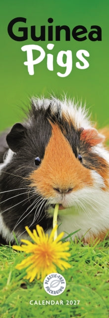 Cover image for 9781529858693 - Guinea Pigs (PFP)Slim