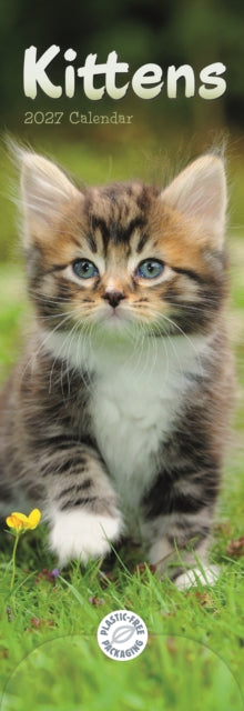 Cover image for 9781529858716 - Kittens (PFP)Slim