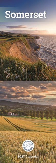 Cover image for 9781529858792 - Somerset Slim
