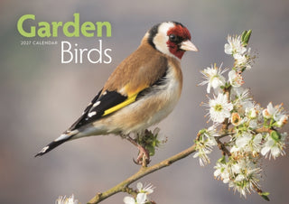 Cover image for 9781529859072 - Garden Birds (PFP) A4