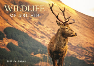 Cover image for 9781529859089 - Wildlife of Britain (PFP) A4