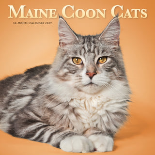 Cover image for 9781529859928 - Maine Coon Cats SS ML W