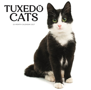 Cover image for 9781529860030 - Tuxedo Cats SS ML Wall
