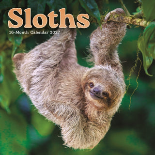 Cover image for 9781529860061 - Sloths M (Sunday Start)