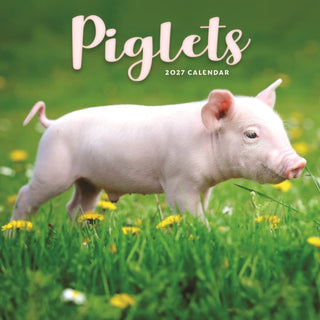 Cover image for 9781529861655 - Piglets Mini