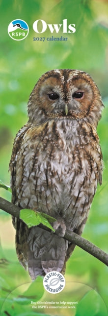 Cover image for 9781529863659 - RSPB Owls (PFP) Slim