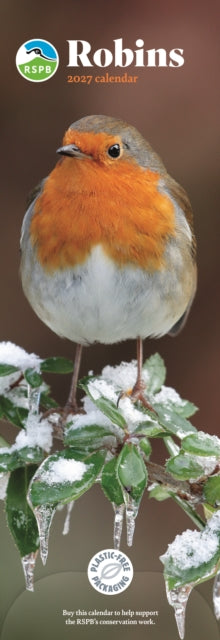 Cover image for 9781529863673 - RSPB Robins (PFP) Slim