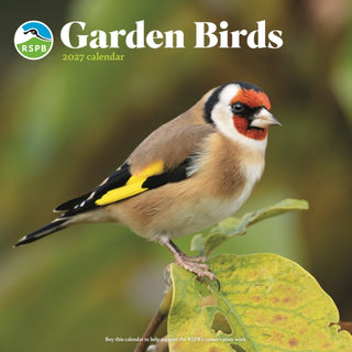 Cover image for 9781529863697 - RSPB Garden Birds (PFP) Wall