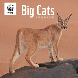 Cover image for 9781529863932 - WWF, Big Cats (PFP) Wall