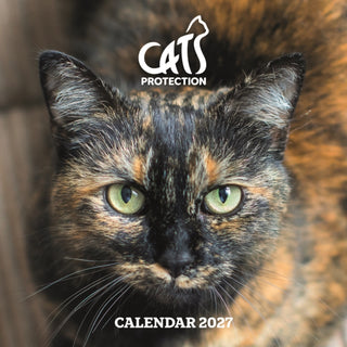 Cover image for 9781529864199 - Cats Protection Wall