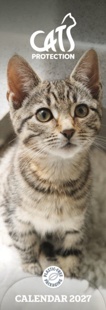 Cover image for 9781529864205 - Cats Protection Slim