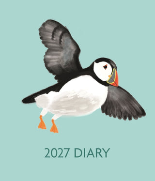 Cover image for 9781529866032 - Fashion Diary Puffin Sq Pk D