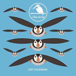 Cover image for 9781529866087 - I Like Birds W