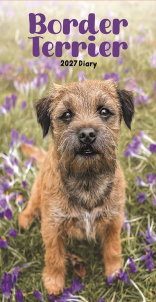 Cover image for 9781529866759 - Border Terriers Slim Diary