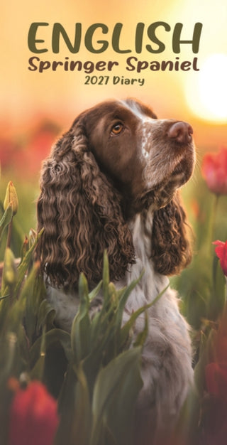 Cover image for 9781529866780 - English Springer Spaniels Slim Diary