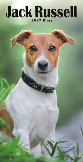 Cover image for 9781529866797 - Jack Russell Terriers Slim Diary