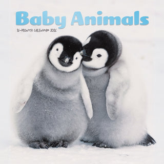 Cover image for 9781529896404 - Baby Animals Square Mini Sunday Start Ca