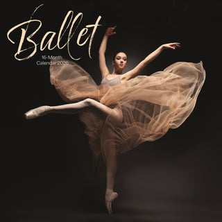 Cover image for 9781529896428 - Ballet Square Wall Sunday Start Calendar
