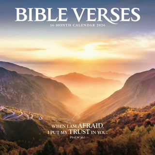 Cover image for 9781529896480 - Bible Verses Square Wall Sunday Start Ca