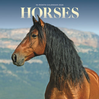 Cover image for 9781529897135 - Horses Square Mini Sunday Start Calendar