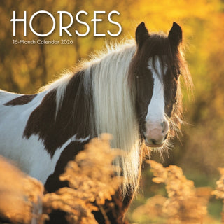 Cover image for 9781529897142 - Horses Square Wall Sunday Start Calendar