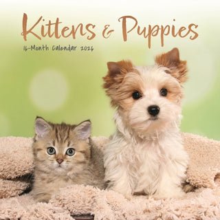 Cover image for 9781529897319 - Kittens Puppies Square Mini Sunday Start