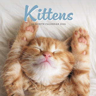 Cover image for 9781529897326 - Kittens Square Mini Sunday Start Calenda