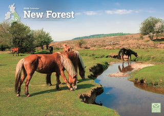 Cover image for 9781529897548 - New Forest A4 Calendar 2026